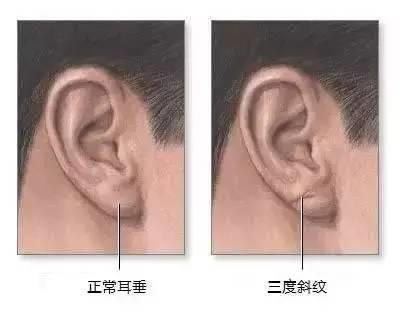 ag体育投注
